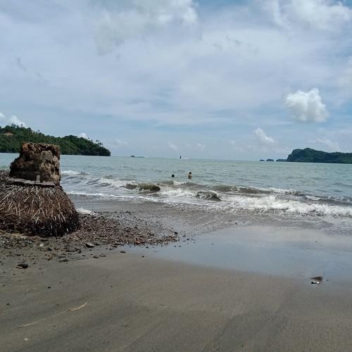 Photo #4934248