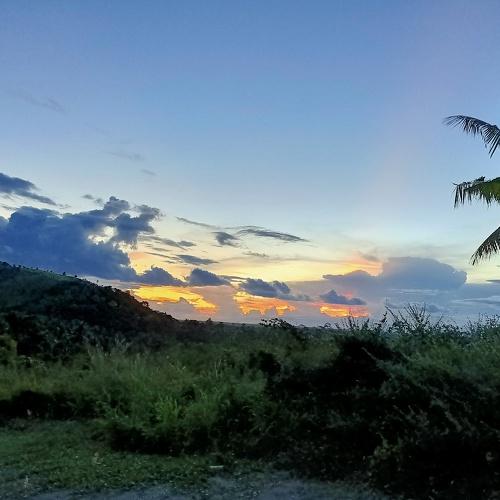 Photo #4934416