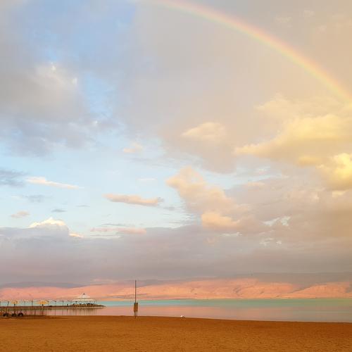 Photo #4934565