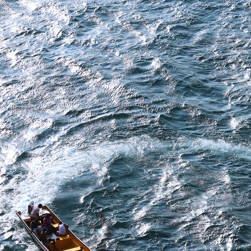 Photo #4935212