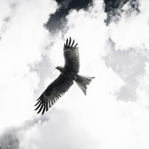 Где то над Танзанией.