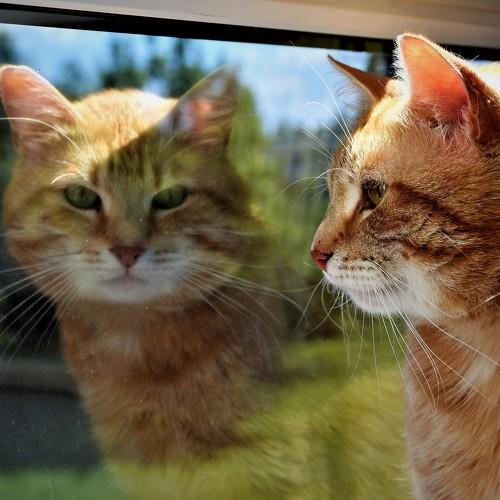 Photo #4935363
