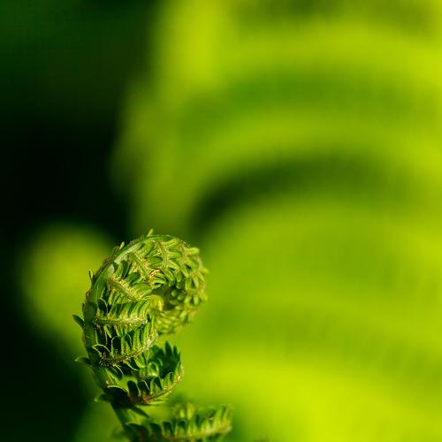 Photo #4935384