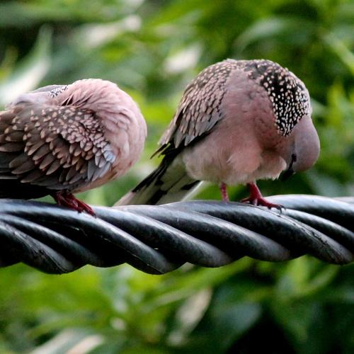 Photo #4935572