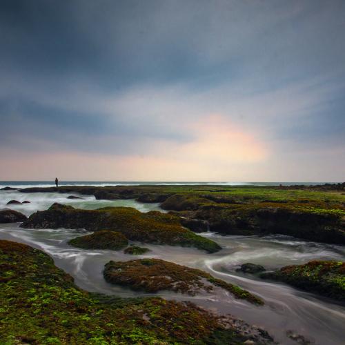 Photo #4935582