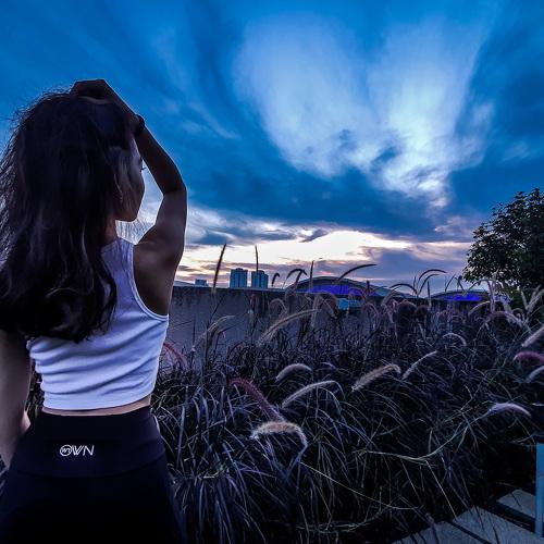 Photo #4935721