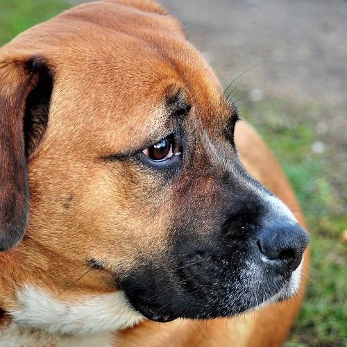 Photo #4936081