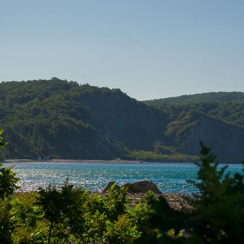 Photo #4936232