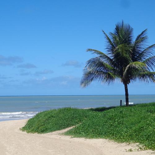 Photo #4936339