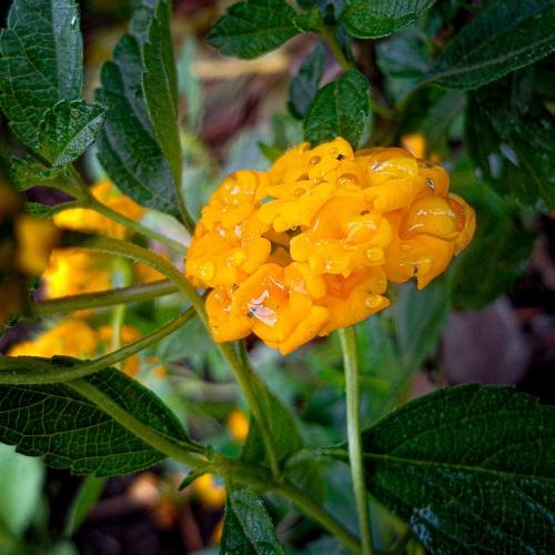Photo #4936340