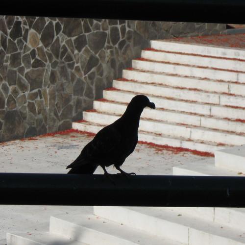 Photo #4936652