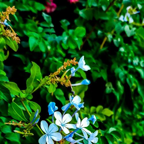 Photo #4936821