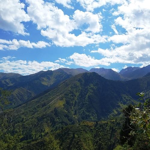 Photo #4936986