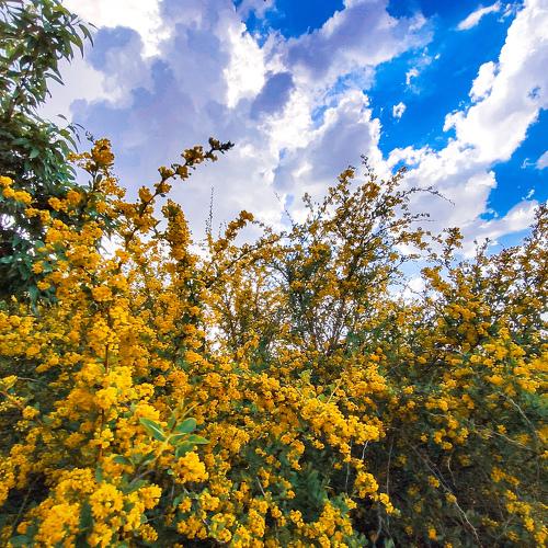 Photo #4937226