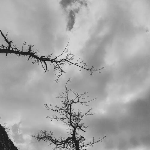 Edge of life