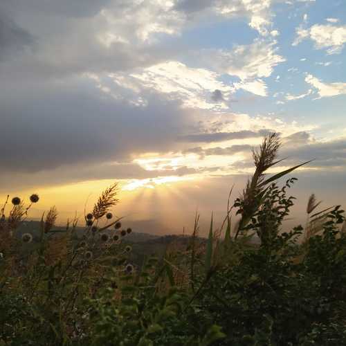 Photo #4937761
