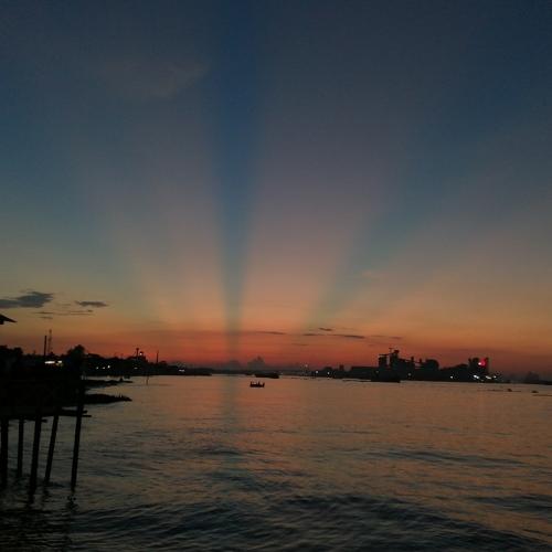 Photo #4937918
