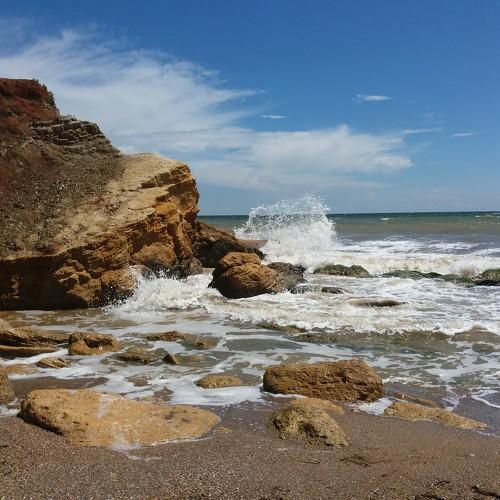 Photo #4938147