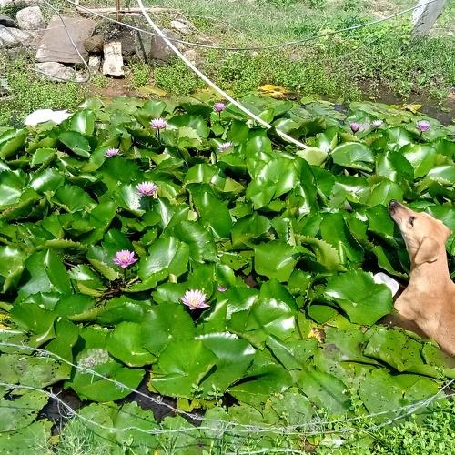 Photo #4938591