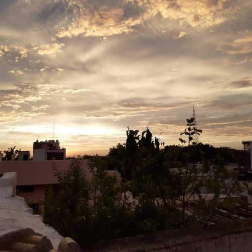 Photo #4938606