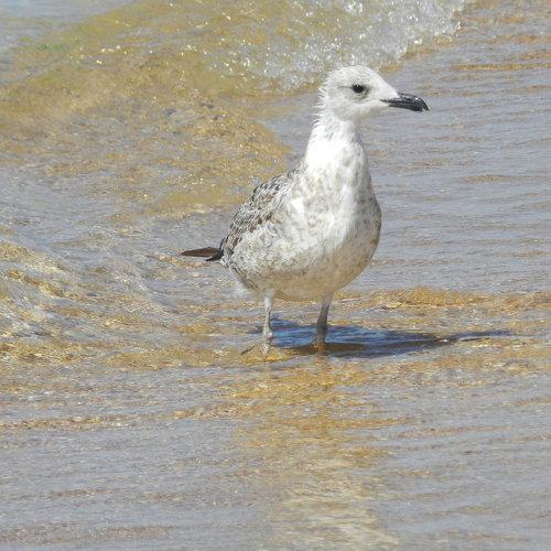 Photo #4938648