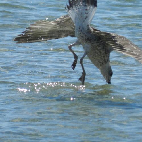 Photo #4938866
