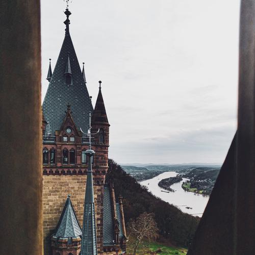 Photo #4939422