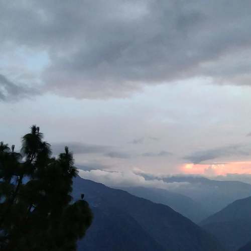 Photo #4939445
