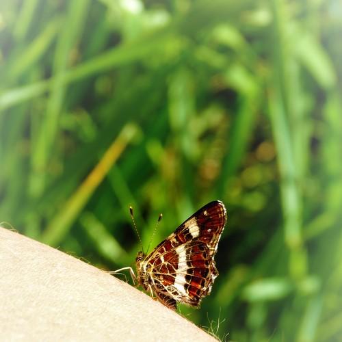 Photo #4939467