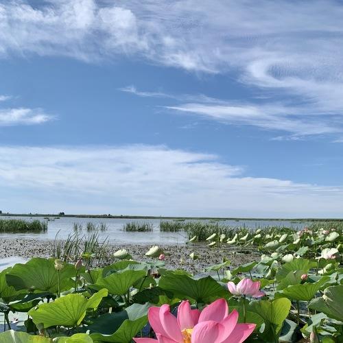 Photo #4939595