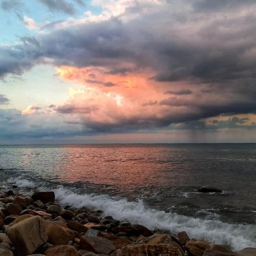 Photo #4939700