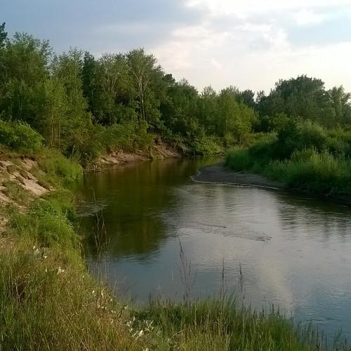 Photo #4939938