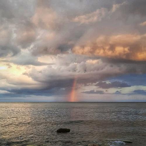 Photo #4940070