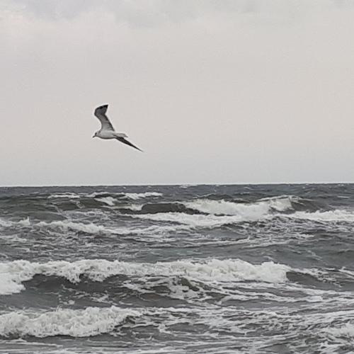 Photo #4940101