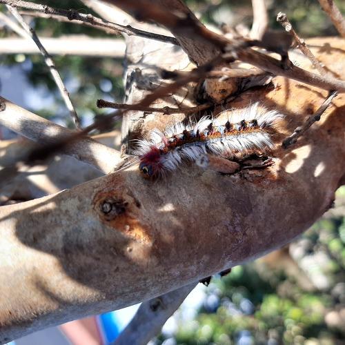 Photo #4940379