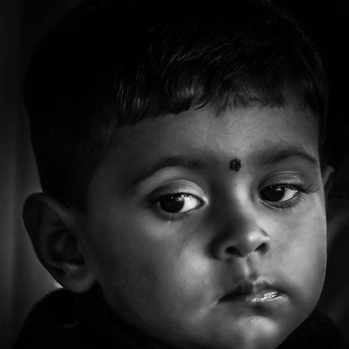 Photo #4940454
