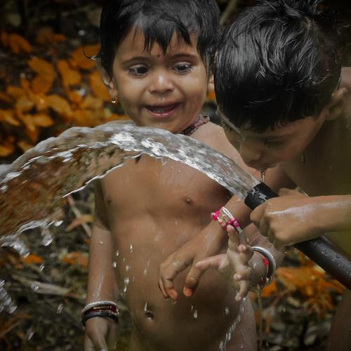 Photo #4940463