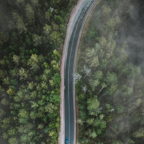 Photo #4940519