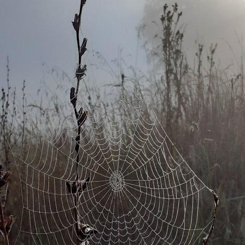 Photo #4940592