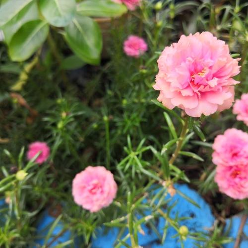 Photo #4941040