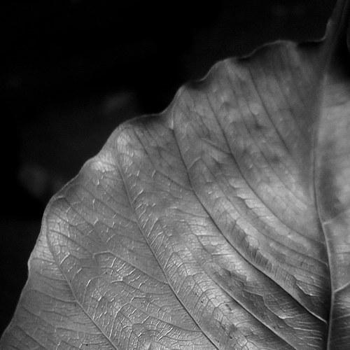 Photo #4941096