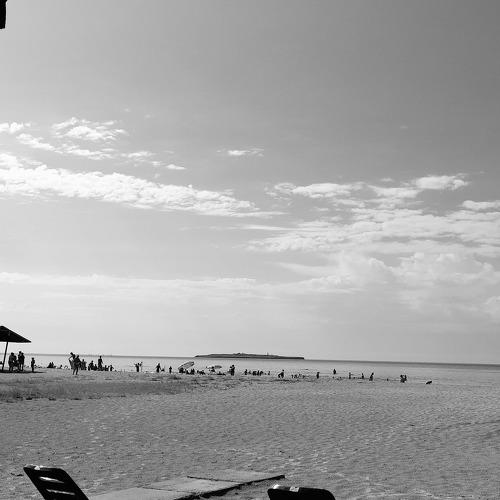 Photo #4941567
