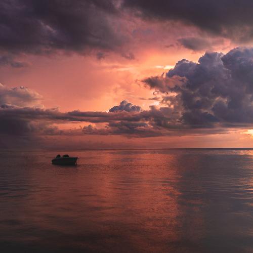 Photo #4941889