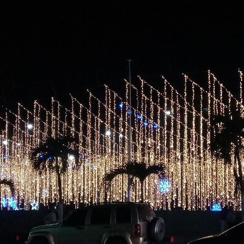 Photo #4941911