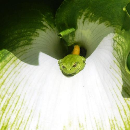 Photo #4942671