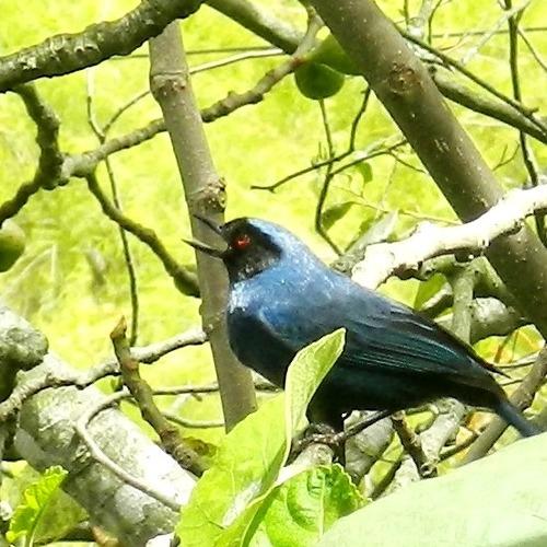 Photo #4942676