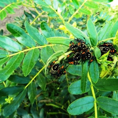 Photo #4942690