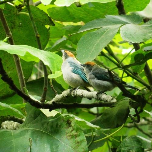 Photo #4942696