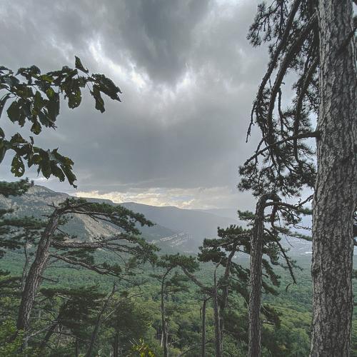 Photo #4943323