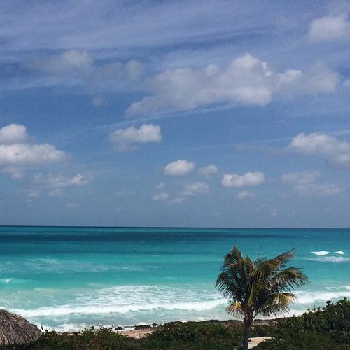 Photo #4943377